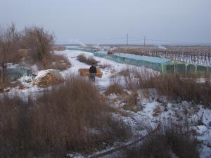 DSCF2735.jpg
