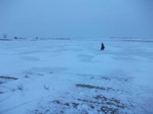 DSCF2744.jpg