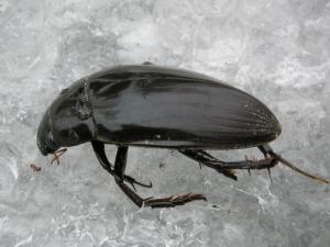 Foto001.jpg