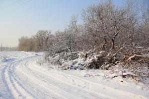 IMG_3729.jpg