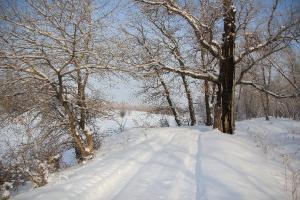 IMG_3740.jpg