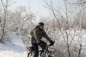 IMG_3750.jpg