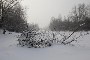 IMG_3770.jpg