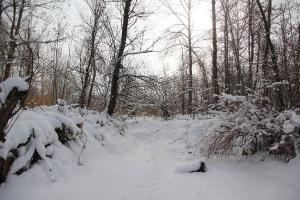 IMG_3787.jpg