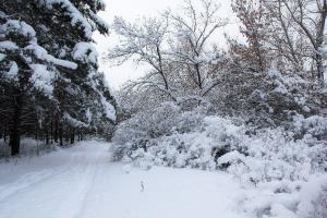 IMG_3816.jpg