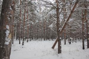 IMG_3849.jpg