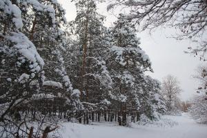 IMG_3851.jpg