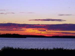20110724-220329.jpg