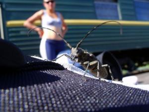 20110725-104047.jpg