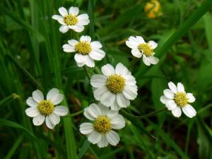 20110725-155702.jpg