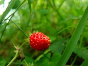 20110725-155836.jpg