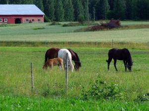 20110725-163818.jpg