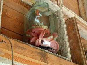 20110726-151644.jpg