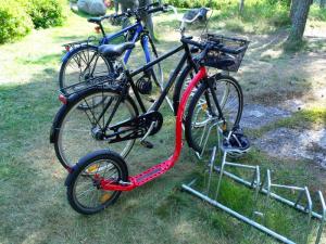20110728-125155.jpg
