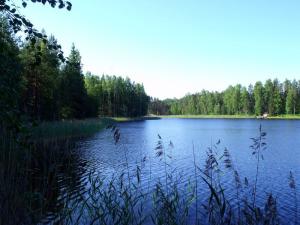 20110731-090105.jpg