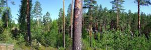 20110731-095700.jpg