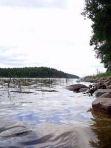 20110801-133205.jpg