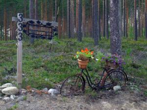 20110801-135759.jpg