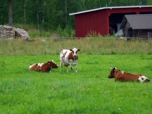 20110801-155851.jpg