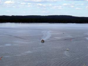 20110803-131842.jpg