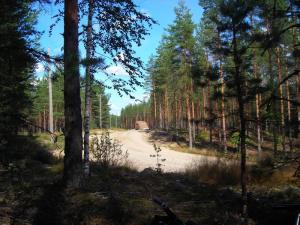 20110803-151524.JPG