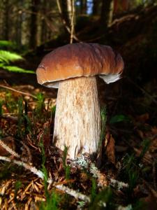 20110804-111240.jpg