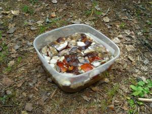 20110804-175821.JPG
