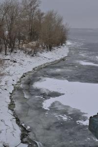 _DSC2637a.jpg