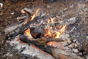_MG_0015.JPG