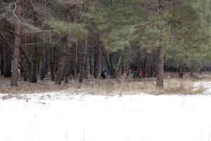 _MG_0024.JPG
