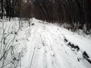 2014-01-05 14.02.55.jpg