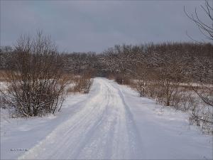 140119_166.jpg