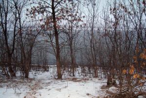 IMG_2578a.jpg