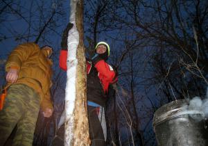 IMG_2590a.jpg