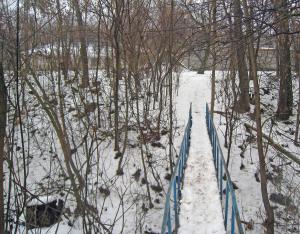 IMG_2629a.jpg