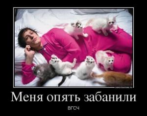 1357928151_686788_menya-opyat-zabanili_demotivators_ru.jpg