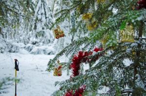 НГ 2014 на Кавказе_0155.jpg