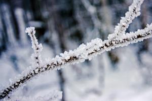 НГ 2014 на Кавказе_0298.jpg