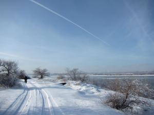 IMG_3875.jpg