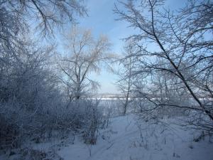 IMG_3882.jpg