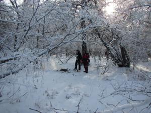 IMG_3890.jpg