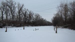 IMG_3828.jpg