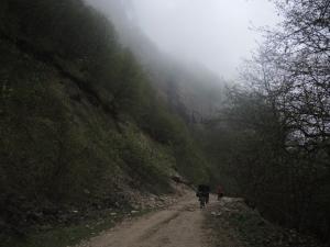 Pic102.jpg