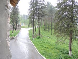 Pic130.jpg