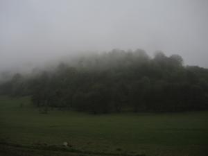Pic100.jpg