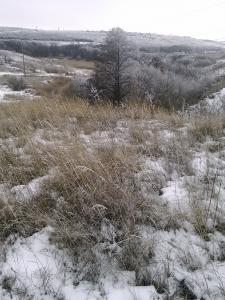 post-1605-0-19556000-1421601577_thumb.jpg