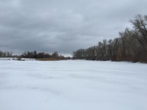 IMG_0254.JPG