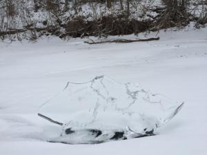 IMG_0247.JPG