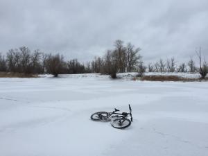 IMG_0252.JPG