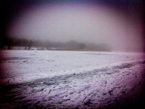 IMG_1953.jpg